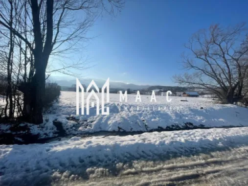 Teren | 1000 MP | Intravilan | Oportunitate investiție | Sadu - Tocile