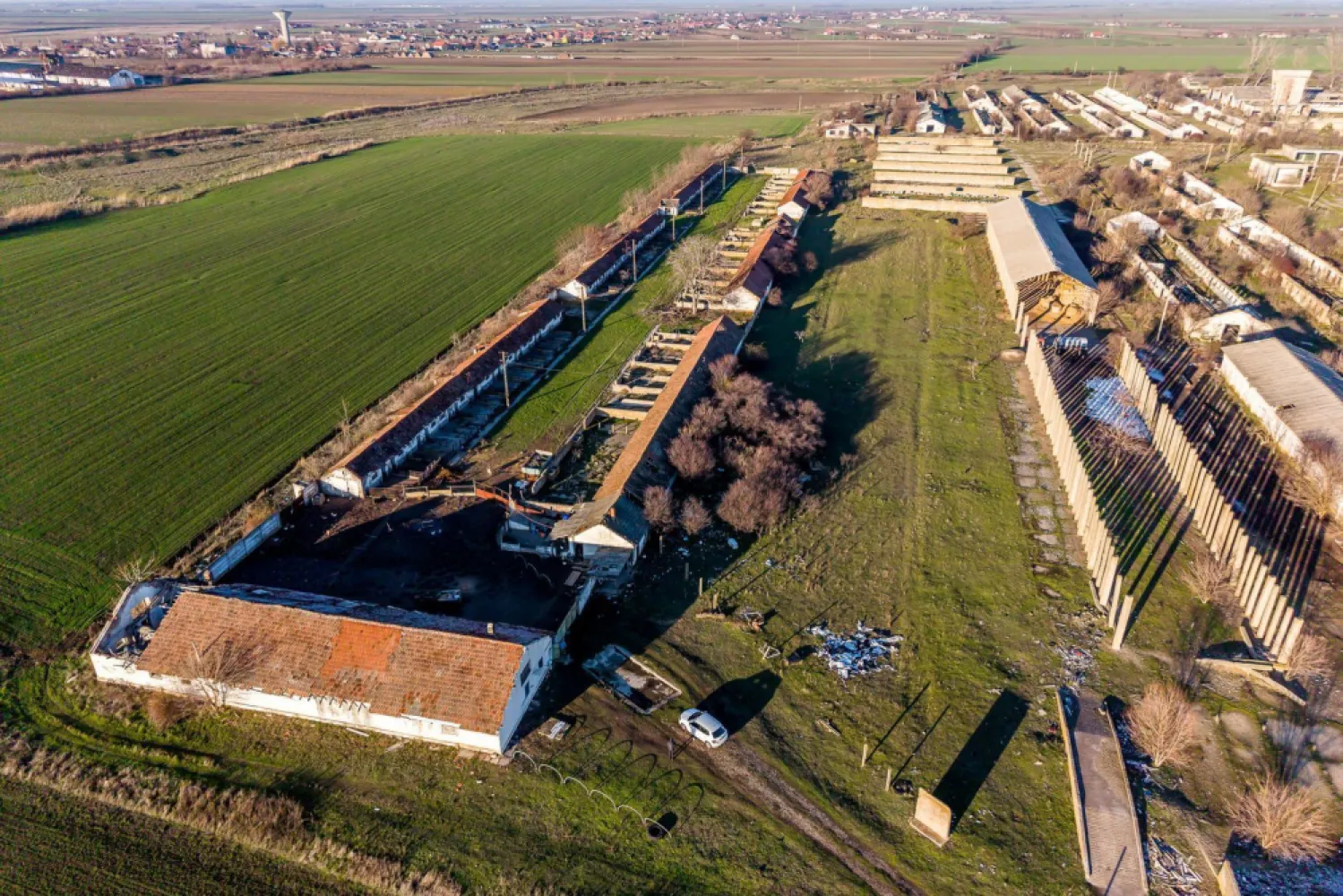 NĂDLAC | Teren 1.15 HA lângă Autostradă | 2.500mp Hale - Locație strategică pentru afacerea ta, la poarta de ieșire spre Europa! Această proprietate de peste 1 hectar, dotată cu hale și curent trifazic, oferă acces imediat la Autostrada E68 și DN7, fiind soluția ideală pentru un hub logistic sau o unitate de producție.

Vă oferim spre vânzare o proprietate cu potențial investițional ridicat, situată strategic în Nădlac, la intersecția principalelor fluxuri de transport internațional.

Cu o configurație versatilă (teren generos + clădiri existente), acest activ imobiliar este pregătit să susțină operațiuni comerciale, industriale sau de depozitare la scară mare.

Date-cheie ale proprietății:
Suprafață teren: 11.467 mp (1.15 Hectare) – teren plan, cu acces facil.
Construcții: aproximativ 2.500 mp suprafață construită (hale/anexe), oferind un avantaj imens în termeni de costuri de pornire.
Locație: lângă DN7 și nodul de urcare pe Autostrada E68 (A1), în imediata proximitate a frontierei cu Ungaria.

Utilități și Facilități:
Energie electrică: curent trifazic cu putere instalată de 35 kW.
Apă: sursă proprie prin foraj la 45 m adâncime.
Acces: drum facil proiectat pentru vehicule de mare tonaj (TIR).
Context: vecinătatea cu un parc fotovoltaic subliniază potențialul energetic și industrial al zonei.

Destinații recomandate:
Logistică & depozitare: hub de tranzit pentru mărfuri internaționale.
Unitate de producție: spații pretabile pentru diverse activități industriale.
Agro-business: centru de colectare sau depozitare utilaje.
Parcare camioane / service: datorită proximității de vamă și autostradă.

Preț de vânzare: 160.000 € | Comision 0% pentru cumpărător

Proprietatea reprezintă un pachet complet: teren, utilități și clădiri, într-una dintre cele mai dinamice zone economice de graniță din România.

📞 Contactați-mă pentru detalii tehnice și vizionări:
Sebastian Nica – 0722 252 639