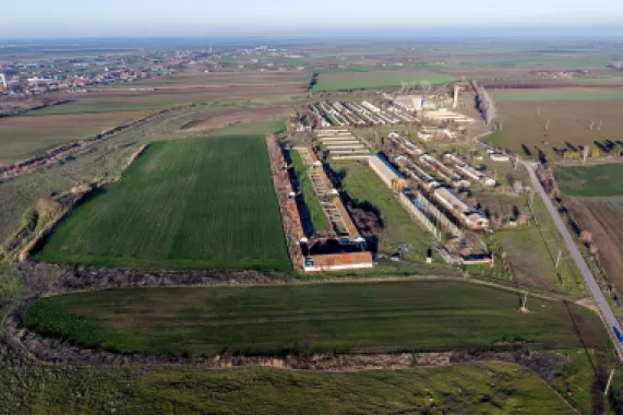 NĂDLAC | Teren 1.15 HA lângă Autostradă | 2.500mp Hale