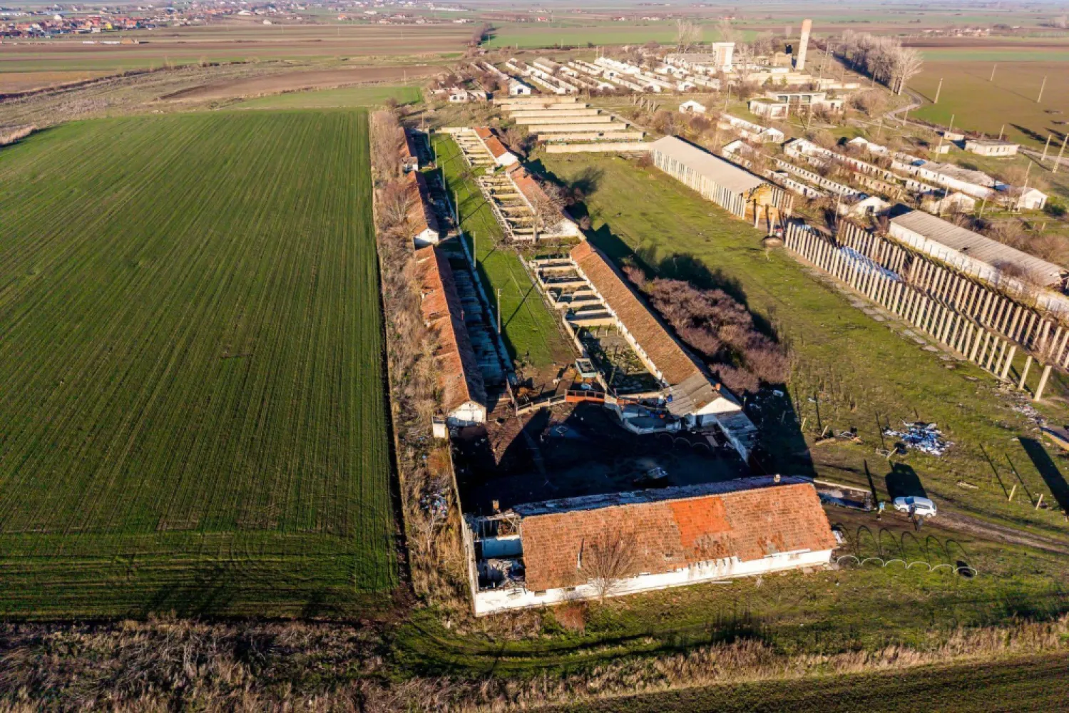 NĂDLAC | Teren 1.15 HA lângă Autostradă | 2.500mp Hale - Locație strategică pentru afacerea ta, la poarta de ieșire spre Europa! Această proprietate de peste 1 hectar, dotată cu hale și curent trifazic, oferă acces imediat la Autostrada E68 și DN7, fiind soluția ideală pentru un hub logistic sau o unitate de producție.

Vă oferim spre vânzare o proprietate cu potențial investițional ridicat, situată strategic în Nădlac, la intersecția principalelor fluxuri de transport internațional.

Cu o configurație versatilă (teren generos + clădiri existente), acest activ imobiliar este pregătit să susțină operațiuni comerciale, industriale sau de depozitare la scară mare.

Date-cheie ale proprietății:
Suprafață teren: 11.467 mp (1.15 Hectare) – teren plan, cu acces facil.
Construcții: aproximativ 2.500 mp suprafață construită (hale/anexe), oferind un avantaj imens în termeni de costuri de pornire.
Locație: lângă DN7 și nodul de urcare pe Autostrada E68 (A1), în imediata proximitate a frontierei cu Ungaria.

Utilități și Facilități:
Energie electrică: curent trifazic cu putere instalată de 35 kW.
Apă: sursă proprie prin foraj la 45 m adâncime.
Acces: drum facil proiectat pentru vehicule de mare tonaj (TIR).
Context: vecinătatea cu un parc fotovoltaic subliniază potențialul energetic și industrial al zonei.

Destinații recomandate:
Logistică & depozitare: hub de tranzit pentru mărfuri internaționale.
Unitate de producție: spații pretabile pentru diverse activități industriale.
Agro-business: centru de colectare sau depozitare utilaje.
Parcare camioane / service: datorită proximității de vamă și autostradă.

Preț de vânzare: 160.000 € | Comision 0% pentru cumpărător

Proprietatea reprezintă un pachet complet: teren, utilități și clădiri, într-una dintre cele mai dinamice zone economice de graniță din România.

📞 Contactați-mă pentru detalii tehnice și vizionări:
Sebastian Nica – 0722 252 639