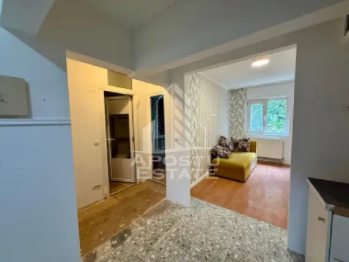 Apartament 3 camere de vanzare, zona Lipovei, Timisoara
