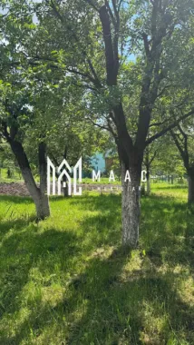 Case de vanzare Sibiu | Casă 3 camere | Gusterița, teren 2381 mp