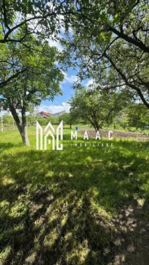 Case de vanzare Sibiu | Casă 3 camere | Gusterița, teren 2381 mp