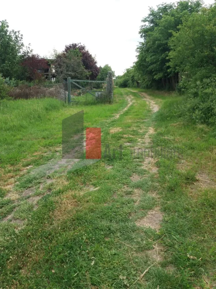 Teren Buftea cu iesire la lac - Art Imobiliare va ofera spre vanzare un teren intravilan constructii cu deschidere la lacul Colentina de 60 ml, unde cu usurinta se poate amenaja un ponton pentru cei pasionati de sporturi nautice, sau de ce nu locuri de pescuit. Avand in vedere suprafata generoasa de 3000mp, este pretabil atat pentru un complex rezidential cat si pentru cineva care isi doreste o locuinta mai retrasa 
 Pentru orice informatie nu ezitati sa ne contactati.