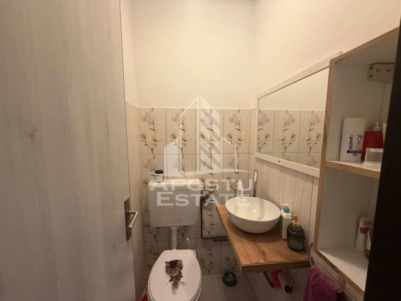 Apartament cu 3 camere de vânzare , etajul 2 , Zona Lipovei, Timisoara