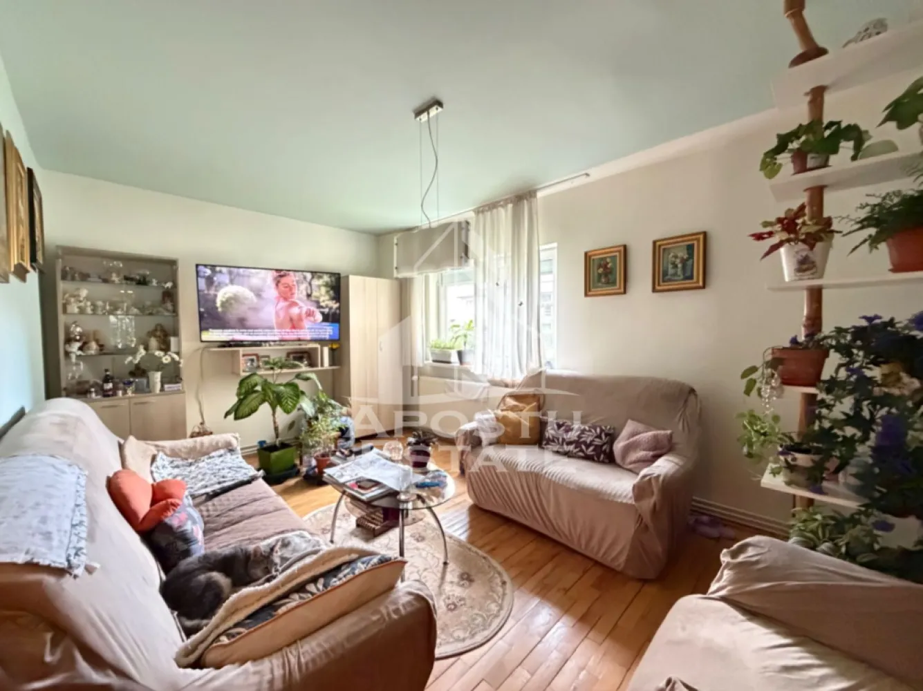 Apartament de vanzare cu 2 camere, cu centrala, parter, in Aradului - Agentia imobiliara APOSTU ESTATE va ofera spre vanzare un apartament cu 2 camere, situat la parter, in Timisoara, zona Calea Aradului.

Apartamentul dispune de o suprafata utila de 44 mp si este compartimentat astfel:

* Hol de acces
* Bucatarie
* Living
* Dormitor
* Baie cu cada

Un avantaj aparte al acestei proprietati este subsolul amenajat cu acces din sufragerie, oferind un spatiu suplimentar ideal pentru depozitare sau diverse activitati.

Confortul termic este asigurat prin intermediul centralei proprii.

Apartamentul este amplasat intr-o zona foarte buna, cu acces facil catre numeroase puncte de interes, precum mijloace de transport in comun, supermarketuri, farmacii, institutii de invatamant, restaurante, cafenele si multe altele.

Agentia imobiliara Apostu Estate va ofera consultanta bancara gratuita prin intermediul colaboratorilor nostri pentru alegerea celui mai potrivit tip de credit, astfel incat tu sa devi noul proprietar al acestui apartament.

Va asteptam cu drag la o vizionare!

ID intern: CP3185861!