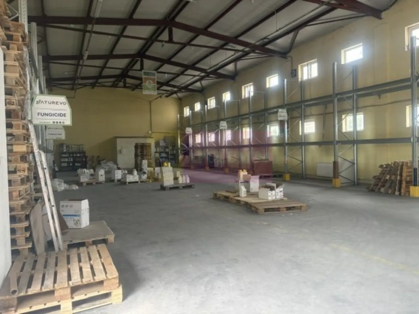 Hale industriale cu parcari multiple Bragadiru Sos Alexandriei stradal