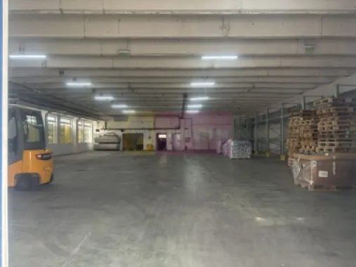 Hale industriale cu parcari multiple Bragadiru Sos Alexandriei stradal