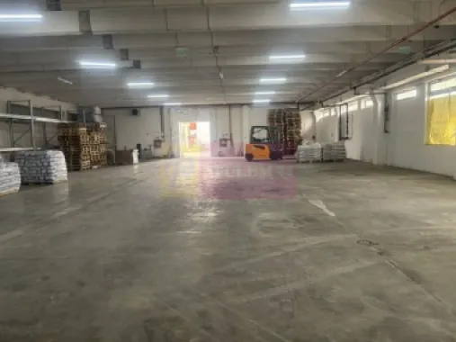 Hale industriale cu parcari multiple Bragadiru Sos Alexandriei stradal