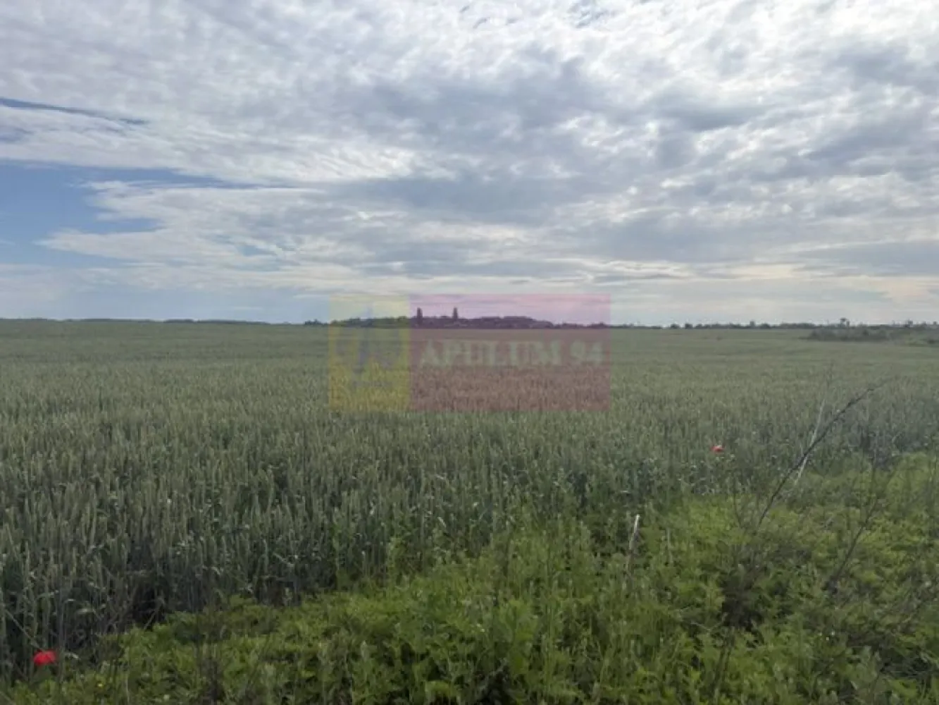Teren Corbeanca- Drumul Garii Odai. - Compania imobiliara Apulum 94 va propune un teren de 9974 mp situat in Corbeanca- Ilfov, in zona strazii Drumul Garii Odai- Str Cantonului- Str Radarului. 
Terenul are in imediata apropiere autostrada A0- la care se lucreaza si este in viitoare dezvoltare. 
Curentul este la aproximativ 100-150 metri. 
Pentru vizionare si mai milte detalii nu ezitati sa ma contactati pe nr 0733683446- Laura Ionescu.