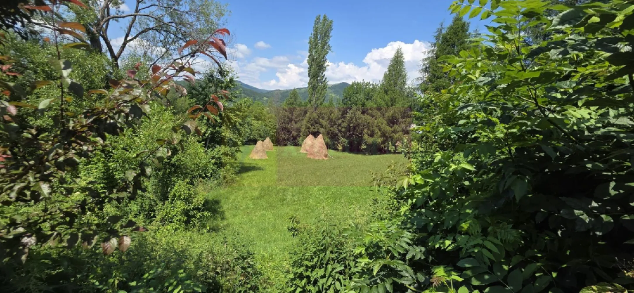 Teren intravilan 3159 mp de vanzare in Comarnic - Teren intravilan de vânzare în Comarnic, Prahova – 3.159 mp, utilități la proprietate, priveliște deosebită

Agenția Imobiliară Mervani vă propune spre vânzare un teren intravilan situat într-o zonă liniștită și apreciată din Comarnic, județul Prahova.

Proprietatea are o suprafață totală de 3.159 mp și beneficiază de o deschidere generoasă de 32 metri la strada asfaltată și la strada secundară. Terenul este ușor înclinat, oferind o panoramă frumoasă asupra împrejurimilor și un cadru ideal pentru construcția unei locuințe sau a unui ansamblu rezidențial de mici dimensiuni.

Toate utilitățile sunt disponibile la limita proprietății:

 apă;
 gaz natural;
 energie electrică;
 canalizare.

Terenul este împrejmuit cu gard din lemn și beneficiază de vecinătăți bune, într-o zonă cu acces facil și locuințe permanente.

Datorită configurației și dimensiunilor sale, amplasamentul permite construirea a una până la trei case, fiind o oportunitate excelentă atât pentru locuire, cât și pentru investiție.

Pentru informații suplimentare și programarea unei vizionări, contactați:

Agenția Imobiliară Mervani
0729 935 536