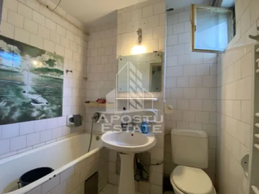 Apartament cu o camera de vanzare Liviu Rebreanu Cal Martirilor