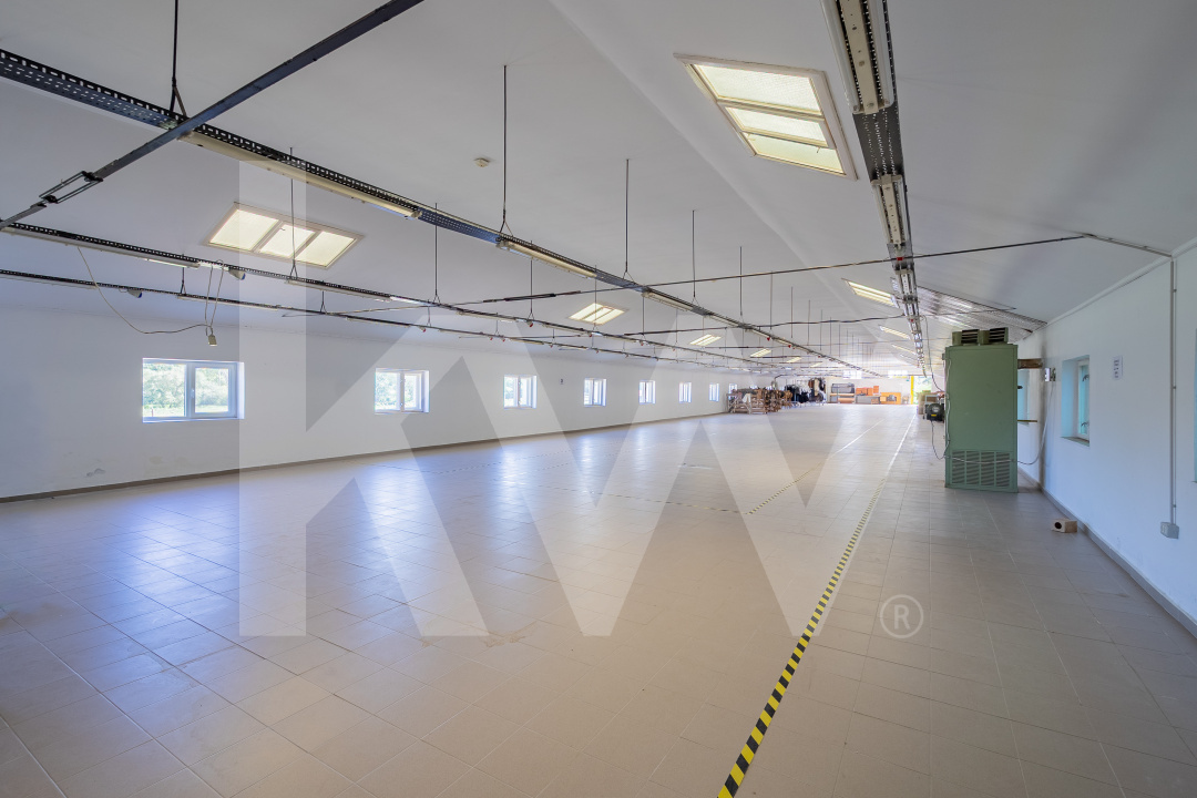 Hală industrială depozitare productie 826mp Sebeș