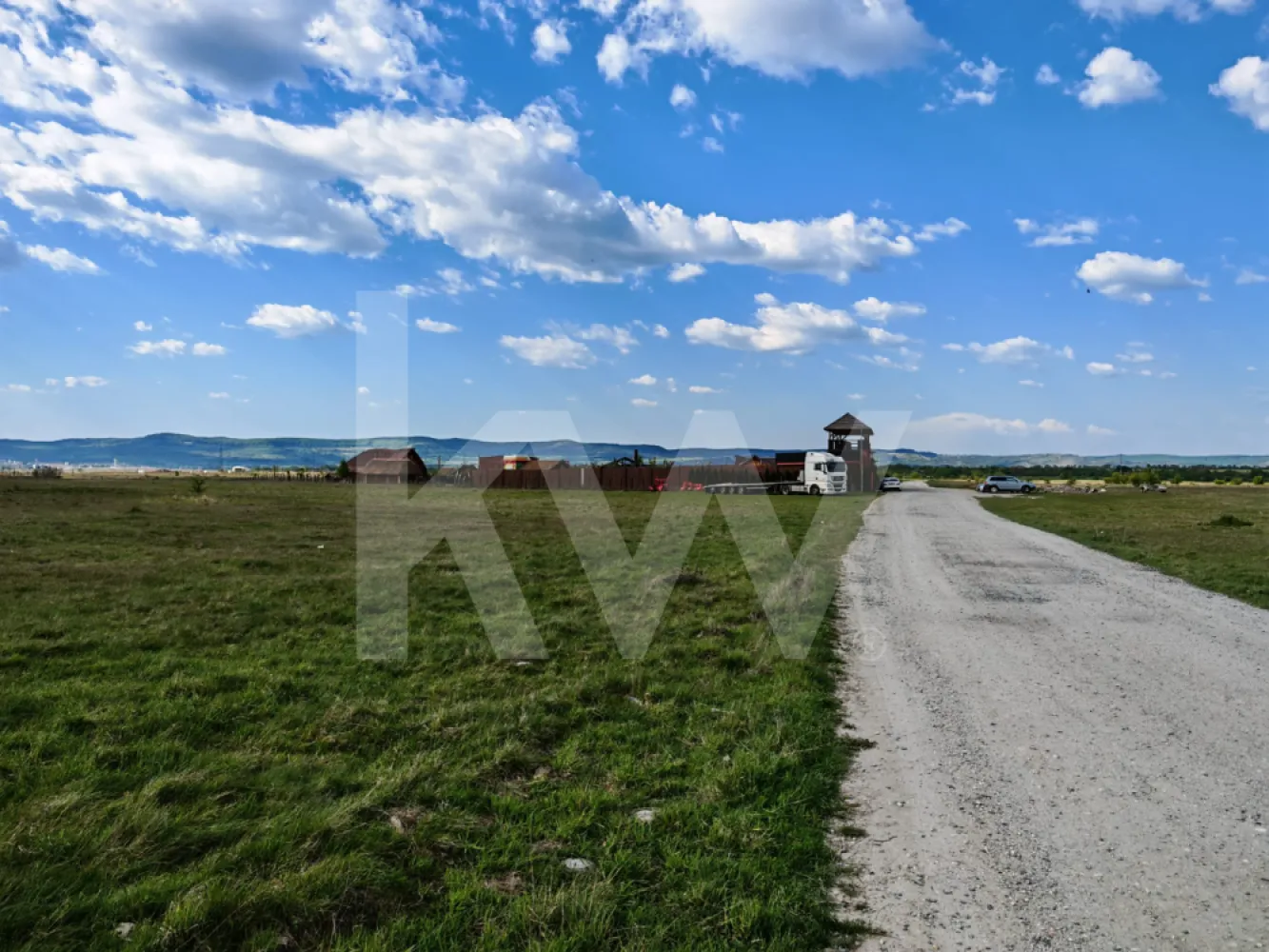 Teren 12.600 mp, front 56m la stradă asfaltată, vedere la munte - Vă prezentăm spre vânzare un teren extravilan generos, în suprafață totală de 12.600 mp, ideal pentru investitorii care caută o proprietate cu potențial ridicat de dezvoltare pe termen mediu și lung.

Proprietatea se remarcă prin poziționarea sa strategică și geometria avantajoasă, oferind o panoramă deosebită, curată, direct către munte.

📐 Caracteristici și Dimensiuni:

- Suprafață totală: 12.600 mp
- Front stradal: 56 metri liniari (acces direct și facil de la drum)
- Lungime teren: 268 metri
- Lățime teren: 47 metri
- Configurație: Formă regulată, alungită, ce permite o parcelare inteligentă în viitor (dacă se dorește trecerea în intravilan).

🚗 Infrastructură și Acces:

Spre deosebire de majoritatea terenurilor extravilane, această parcelă beneficiază de un confort logistic sporit:
- Acces direct din stradă asfaltată, ceea ce elimină costurile inițiale mari pentru amenajarea drumului și asigură accesibilitate în orice anotimp, indiferent de vreme.

💼 Potențial de Investiție:

- Datorită frontului stradal generos de 56 m și a vederii spectaculoase către munte, terenul este pretabil pentru o gamă largă de proiecte viitoare:
- Dezvoltare turistică / Agroturism: Construirea unui complex de cabane, glamping, pensiune sau zonă de agrement (după PUZ/trecere în intravilan).
- Investiție speculativă: Achiziție la preț de extravilan și valorificare ulterioară după urbanizarea zonei.
- Proiecte agricole sau panouri fotovoltaice: Datorită suprafeței plane și deschiderii mari.

Notă: Zona este în plină dezvoltare, transformând acest teren într-un activ cu randament garantat pe termen lung.

Pentru mai multe detalii, acte sau programarea unei vizionări, nu ezitați să ne contactați!