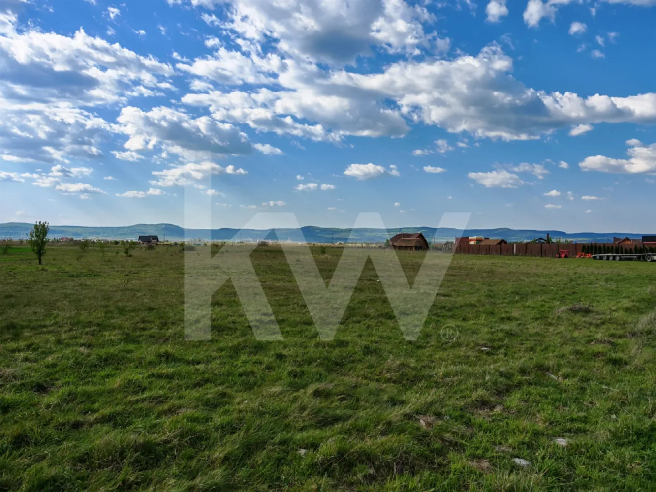 Teren 12.600 mp, front 56m la stradă asfaltată, vedere la munte - Vă prezentăm spre vânzare un teren extravilan generos, în suprafață totală de 12.600 mp, ideal pentru investitorii care caută o proprietate cu potențial ridicat de dezvoltare pe termen mediu și lung.

Proprietatea se remarcă prin poziționarea sa strategică și geometria avantajoasă, oferind o panoramă deosebită, curată, direct către munte.

📐 Caracteristici și Dimensiuni:

- Suprafață totală: 12.600 mp
- Front stradal: 56 metri liniari (acces direct și facil de la drum)
- Lungime teren: 268 metri
- Lățime teren: 47 metri
- Configurație: Formă regulată, alungită, ce permite o parcelare inteligentă în viitor (dacă se dorește trecerea în intravilan).

🚗 Infrastructură și Acces:

Spre deosebire de majoritatea terenurilor extravilane, această parcelă beneficiază de un confort logistic sporit:
- Acces direct din stradă asfaltată, ceea ce elimină costurile inițiale mari pentru amenajarea drumului și asigură accesibilitate în orice anotimp, indiferent de vreme.

💼 Potențial de Investiție:

- Datorită frontului stradal generos de 56 m și a vederii spectaculoase către munte, terenul este pretabil pentru o gamă largă de proiecte viitoare:
- Dezvoltare turistică / Agroturism: Construirea unui complex de cabane, glamping, pensiune sau zonă de agrement (după PUZ/trecere în intravilan).
- Investiție speculativă: Achiziție la preț de extravilan și valorificare ulterioară după urbanizarea zonei.
- Proiecte agricole sau panouri fotovoltaice: Datorită suprafeței plane și deschiderii mari.

Notă: Zona este în plină dezvoltare, transformând acest teren într-un activ cu randament garantat pe termen lung.

Pentru mai multe detalii, acte sau programarea unei vizionări, nu ezitați să ne contactați!