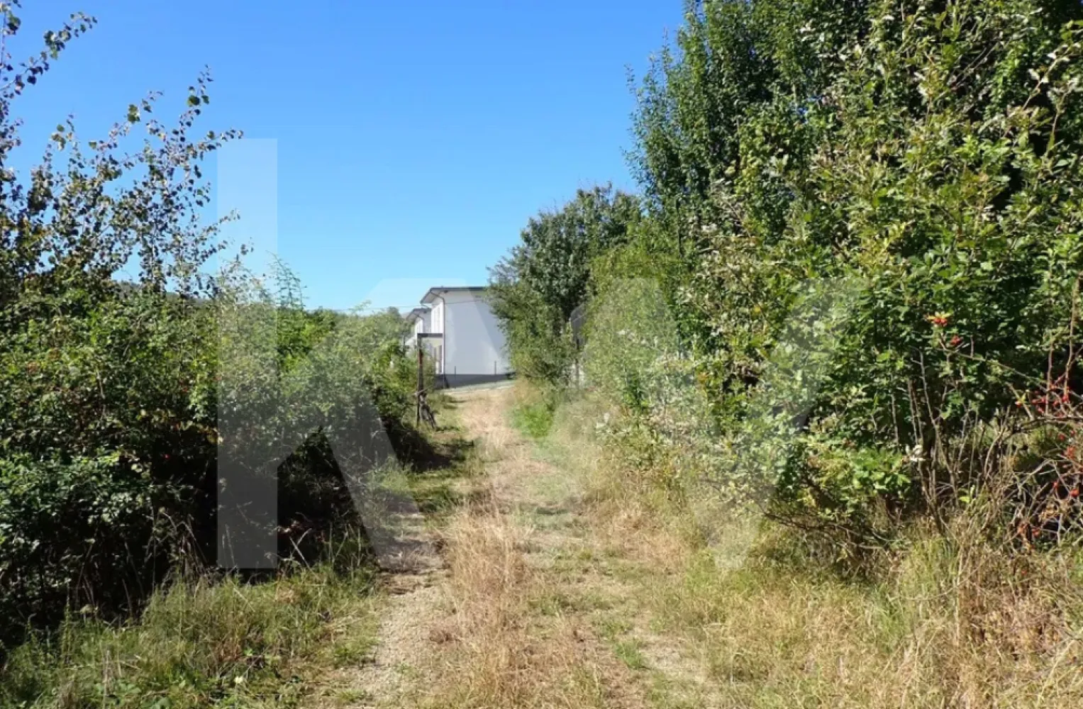 Teren intravilan de 1409 mp cu PUZ - Cisnadioara - Teren intravilan 1.409 mp – Cisnădioara | PUZ aprobat | priveliște spre Cetate

Oportunitate excelentă de investiție sau construire a unei locuințe deosebite în Cisnădioara, pe strada Cireșilor, într-o zonă apreciată pentru liniște, natură și panorame spectaculoase.
Terenul are o suprafață de 1.409 mp, este intravilan, cu PUZ aprobat, și este situat în apropierea complexului Citadel Residence. 
Beneficiază de deschidere la stradă de 29 ml și dispune de două intrări, oferind flexibilitate în proiectare și acces.
Utilitățile de apă și canalizare se află la aproximativ 50 m de limita proprietății.
Un avantaj major al terenului îl reprezintă priveliștea panoramică deosebită către Cetatea Cisnădioara și Munții, ceea ce îl face ideal pentru construirea unei reședințe elegante, a unei case de vacanță sau a unei investiții cu potențial ridicat.
Acces facil către Sibiu și apropiere de facilități, într-o zonă aerisită și bine cotată.

Localizare: Cisnădioara, str. Cireșilor
Suprafață: 1.409 mp
Regim: intravilan, PUZ aprobat
Acces: deschidere 29 ml, 2 intrări