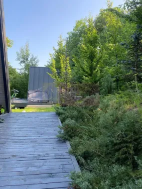 Cabane A frame + Teren 6000 mp | Proprietate deosebita, NOU