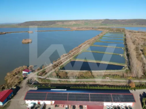 Delta Moldovei – Investiția Perfectă în Natură, Ecoturism și Dezvoltare Durabilă