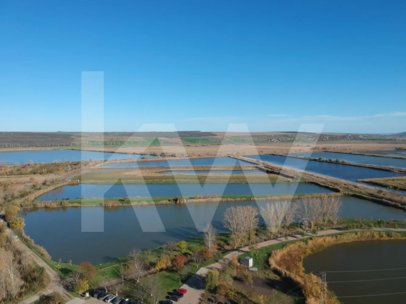 Delta Moldovei – Investiția Perfectă în Natură, Ecoturism și Dezvoltare Durabilă