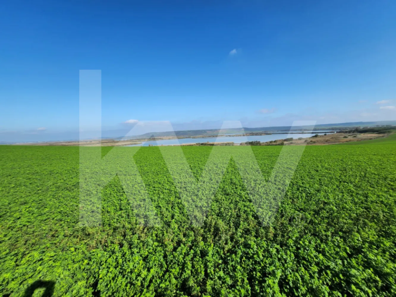 Delta Moldovei – Investiția Perfectă în Natură, Ecoturism și Dezvoltare Durabilă