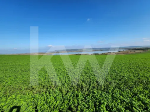 Delta Moldovei – Investiția Perfectă în Natură, Ecoturism și Dezvoltare Durabilă