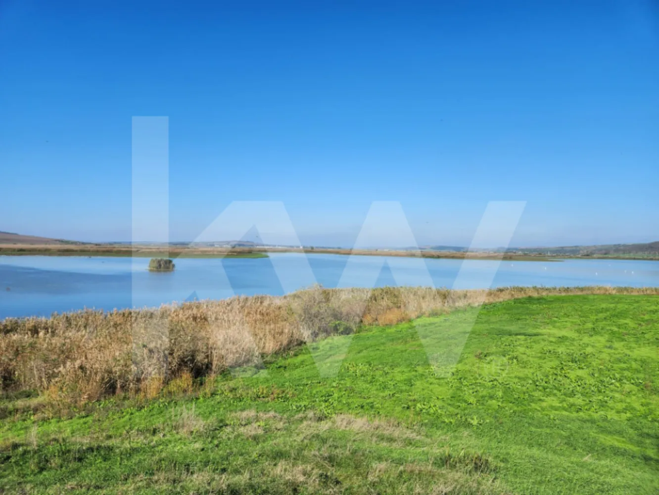 Delta Moldovei – Investiția Perfectă în Natură, Ecoturism și Dezvoltare Durabilă
