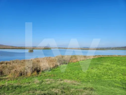Delta Moldovei – Investiția Perfectă în Natură, Ecoturism și Dezvoltare Durabilă