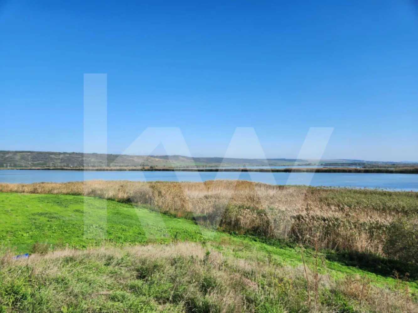 Delta Moldovei – Investiția Perfectă în Natură, Ecoturism și Dezvoltare Durabilă