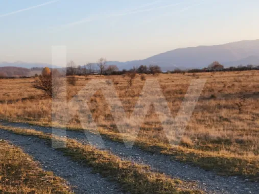 Logo Keller Williams Sibiu logo