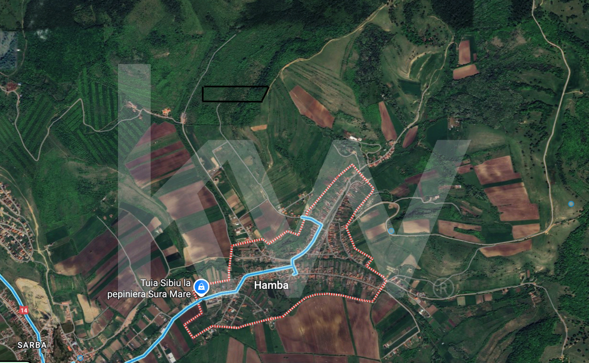 Teren Extravilan de vânzare, Hamba (Sibiu), 38.400 mp (3,84 ha), Pret competitiv