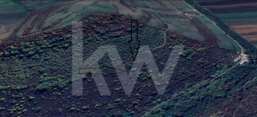 Teren Extravilan de vânzare, Hamba (Sibiu), 38.400 mp (3,84 ha), Pret competitiv