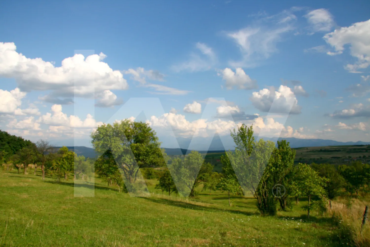 Teren de vânzare în Daia, Sibiu – 600 mp, priveliște superbă spre munți - Descoperă potențialul acestui teren situat în Daia, la doar câțiva kilometri de Sibiu, ideal pentru cei care caută liniștea naturii și o priveliște deosebită asupra satului Daia Nouă și a munților din împrejurimi.

Detalii proprietate:
 - Suprafață: 600 mp
 - Categoria: extravilan
 - Deschidere la drum: 23 metri
 - Acces facil – terenul este amplasat la drum
 - Utilități: curent electric în apropiere; gaz, apă și canalizare urmează să fie introduse în zonă

Avantaje:
 - Zonă liniștită, cu aer curat și peisaje spectaculoase
 - Ideal pentru investiție pe termen lung sau pentru o viitoare casă de vacanță
 - Acces rapid către Sibiu și localitățile din jur

Preț: 33.000 euro
Pentru mai multe informații și vizionare, contactează-mă și haide să stabilim o întălnire!