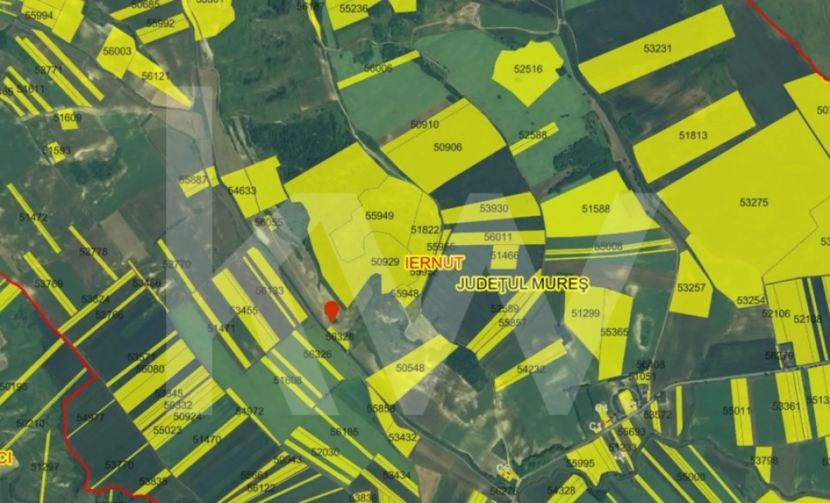 Oportunitate unică de investiție – Pădure, cătină și visuri verzi - Imaginează-ți să deții un colț de natură neatinsă, unde pădurea matură și plantația de cătină îți oferă nu doar resurse, ci și șansa de a construi un proiect cu suflet.

Locație: Iernut, jud. Mureș
Suprafață totală: 174.500 mp
170.500 mp de pădure matură, plămân verde cu potențial ecoturistic
40.000 mp de cătină, gata de recoltat și transformat în produse sănătoase și naturale

Accesibilitate:
La doar câțiva pași de autostrada A3 și DN15, cu legături rapide către Târgu Mureș și Cluj-Napoca, dar suficient de retras pentru a păstra liniștea naturii.

Posibilități nelimitate:
Creează o afacere bio cu produse care duc mai departe gustul autentic al naturii
Construiește un refugiu ecoturistic unde oamenii vin să respire libertatea
Valorifică pădurea prin silvicultură responsabilă și proiecte de conservare
Transformă proprietatea într-un proiect verde, cu credite de carbon și impact pozitiv asupra mediului

De ce această investiție?
Venituri rapide din exploatarea cătinei
Creștere constantă a valorii terenurilor agricole și forestiere
Șansa de a contribui la un viitor sustenabil, cu respect pentru natură și oameni