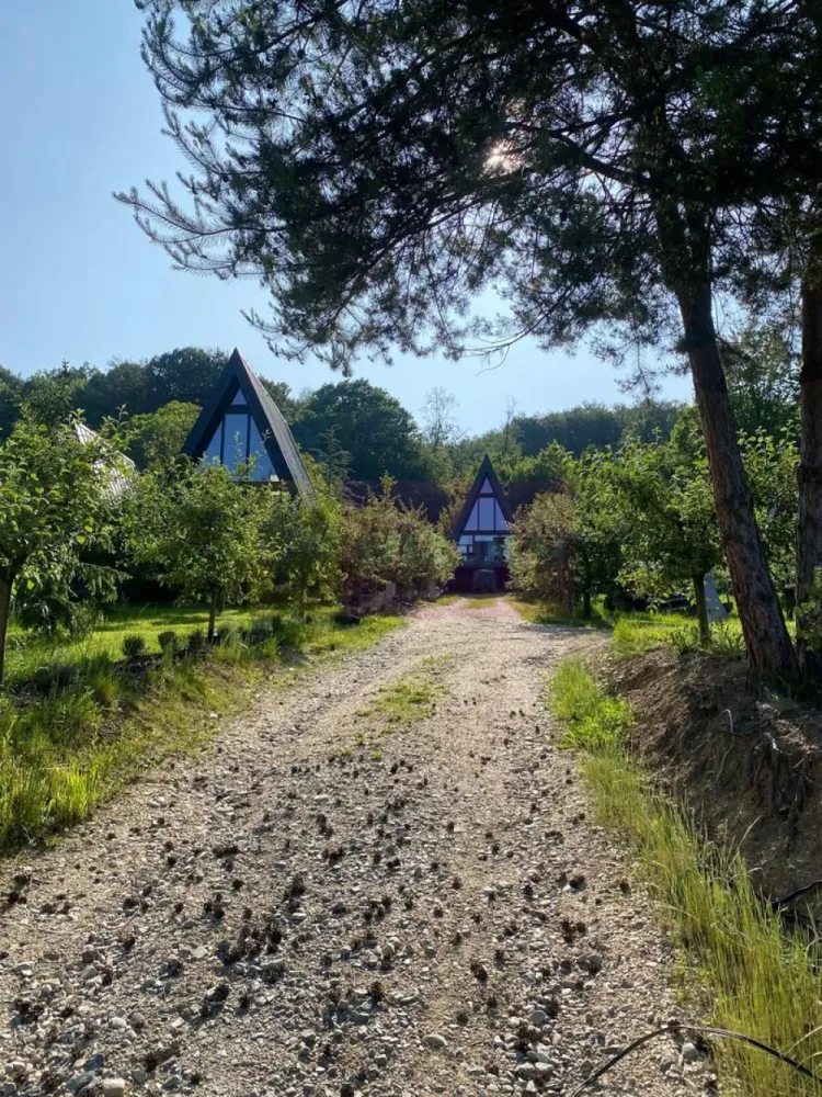Cabane A frame + Teren 6000 mp | Proprietate deosebita, NOU