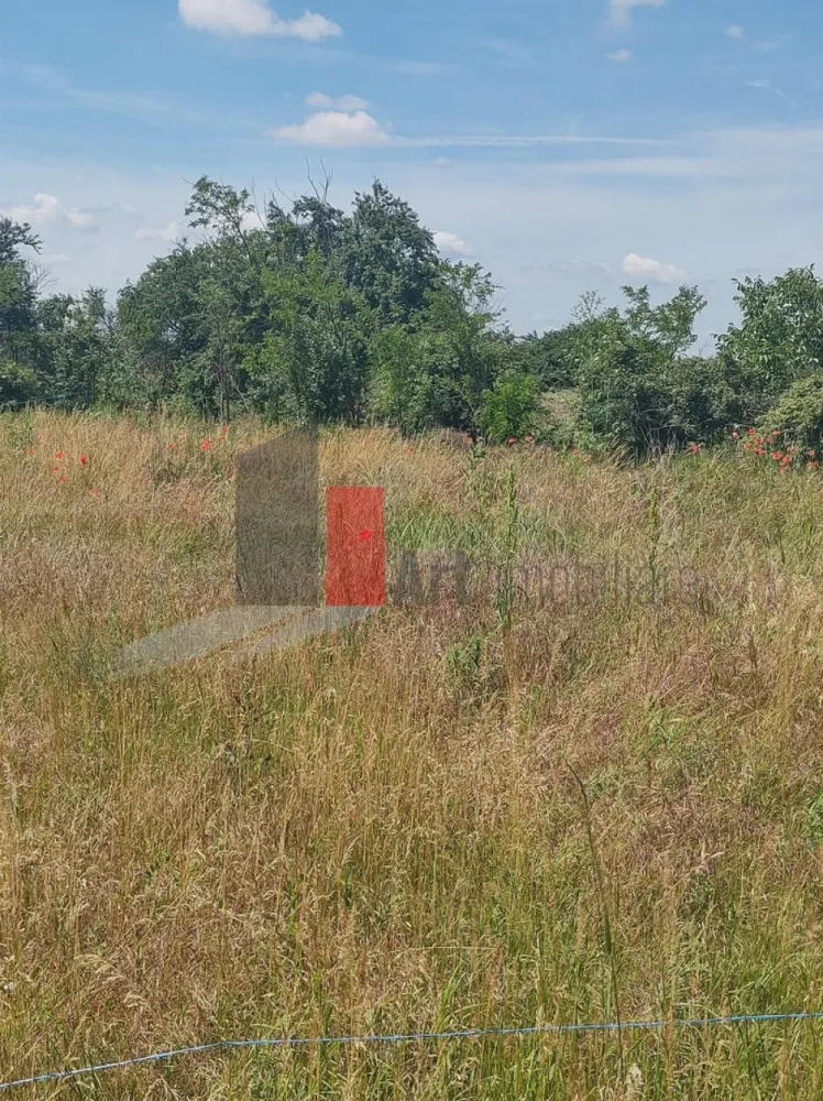 Vânzare 2 loturi de casă Dobreni Giurgiu