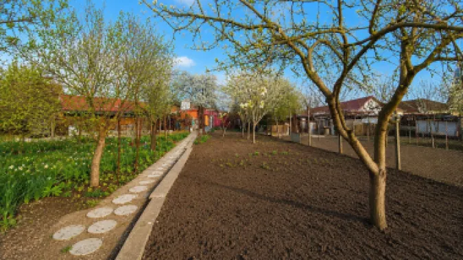 Casă individuală, teren generos de 1.348mp, poziție centrală, Giarmata