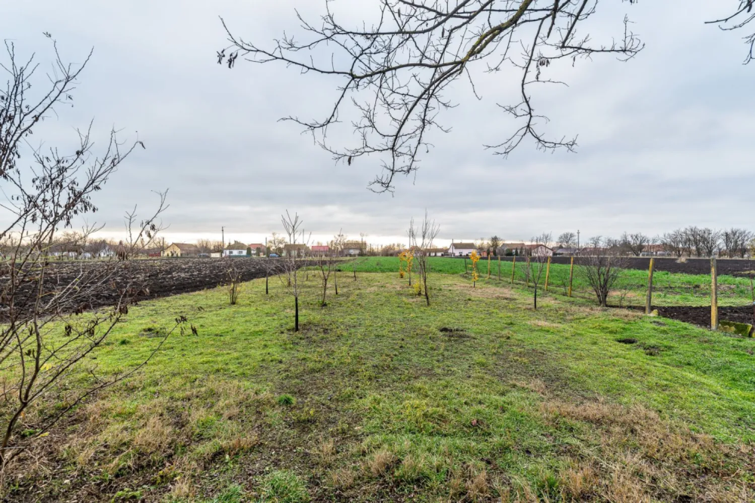 Casă în Dorobanți / 2 fronturi stradale - Dorobanți e genul de loc pe care îl alegi când vrei liniște, spațiu și acel stil de viață „așezat”, în care ziua începe cu aer curat și se termină cu un ceai în curte. Iar proprietatea asta îți dă exact libertatea pe care o cauți: 2.500 mp de teren, organizat, cu livadă tânără și anexe care chiar îți sunt utile.

Interior (practic și luminos): 2 camere mari la stradă + o cameră suplimentară; hol luminos; baie cu cadă; toaletă separată cu geam; cămară, pivniță, acces în pod; încălzire pe lemne; apă la rețea; proiect aprobat pentru fosă nouă (fără costuri pentru viitorul proprietar).

Exterior (aici începe povestea frumoasă): acces auto; curte cu vie și flori; filigorie (locul perfect pentru seri lungi); bucătărie de vară; cameră de lemne; garaj metalic + anexe utile; jumătate din teren: livadă tânără – pentru producție reală, nu doar decor.

Mai ai și un avantaj rar: 2 fronturi stradale, deci poți gândi extindere, compartimentare sau acces separat fără bătăi de cap. 

Imaginează-ți cum ar fi să ai loc pentru grădină, hobby-uri, poate câteva animale… sau pur și simplu liniște, cu tot ce îți trebuie în curtea ta.

📞 Pentru detalii și programarea unei vizionări sună‑mă acum, sunt Andreea Szuchanszki și am numărul de telefon: 0742 267 773

💳 Nu dispui de toată suma? Te ajutăm gratuit cu finanțarea: îți obținem oferte de la 16 bănci, astfel încât să alegi varianta cea mai avantajoasă.

🏠 Ai o proprietate de vânzare în Arad și vrei să știi cât valorează cu adevărat?
Sună‑mă pentru o evaluare gratuită, fără obligații.

🏢 ACASĂ | Agenție imobiliară Arad
Bulevardul Decebal 2, Arad 310133