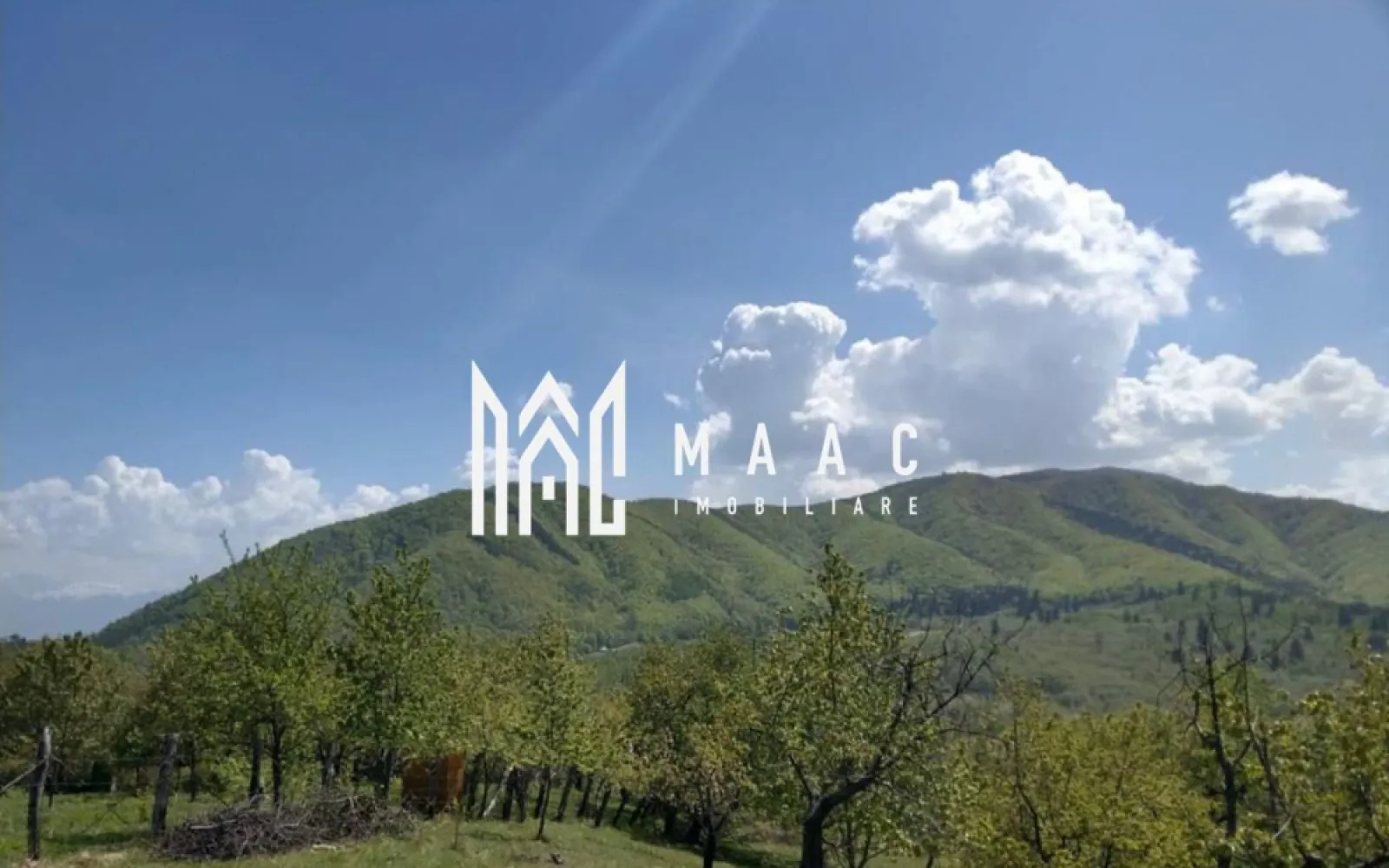 Teren intravilan I Cisnadioara I 1960 mp cu PUZ - MAAC IMOBILIRE VA PROPUNE SPREVANZARE UN TEREN INTRAVILAN O PARCELA DE 1960 MP IN LOCALITATEA CISNADIOARA - JUDETUL SIBIU Terenul are acces de pe strada Ciresilor Terenul are o suprafata 1960 mp ideal pentru construirea unei case rezidențiale sau unei case de vacanță, cu deschidere la drum de 29 ml / 72 ml lungime care se poate vinde integral sau si 2 parcele de 980 mp latime deschidere la drum 14,5 ml / 72 ml lungime cu PUZ aprobat. Dacă sunteți în căutarea unui loc linistit de casă sau cabana, departe de aglomerație, Cisnădioara este alegerea cea mai potrivită. Drumul este pietruit latime 3 ml iar dupa cedarea drumului de 2.75 mp pe fiecare parte a drumului va avea 8,5 ml. Caracteristici generale: Clasificare teren: Intravilan Categorie de folosință: Livada Intabulat: DA Carte funciară: DA Certificat de urbanism: DA PUZ abrobat de Primaria Cisnadie pentru constructie casa : DA Utilități: - Gaz la aprox 150 ml costul lucrarii undeva la 7500 euro. - Curentul la 40 ml costul lucrarii 1000-2000 euro. - Apă : 1500-3000 euro maxim exista proiect de introducere utilități in curs primavara-vara anul 2026 dar daca doriti mai repede singura solutie este fantana iar pentru canal fosa septica sau statie de epurare 5000 - 7000 euro cum au majoritatea locuitorilor in Cisnadioara. Pentru mai multe detalii precizati ca ati vazut anuntul cu ID CP2911592 }}