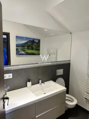 Casă modernă, garaj și curte amenajată – Șelimbăr