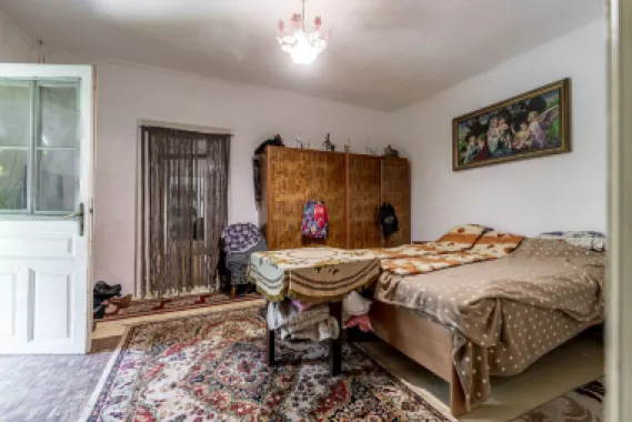 🏡 Casă nemțească autentică în Frumușeni – Fântânele, la 20 km de Arad