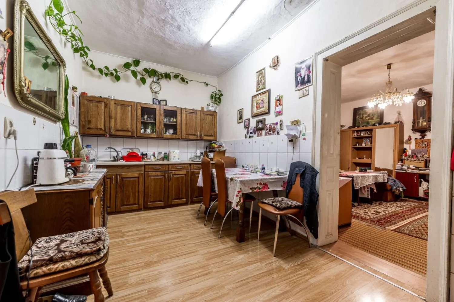 🏡 Casă nemțească autentică în Frumușeni – Fântânele, la 20 km de Arad