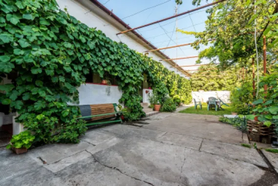 🏡 Casă nemțească autentică în Frumușeni – Fântânele, la 20 km de Arad