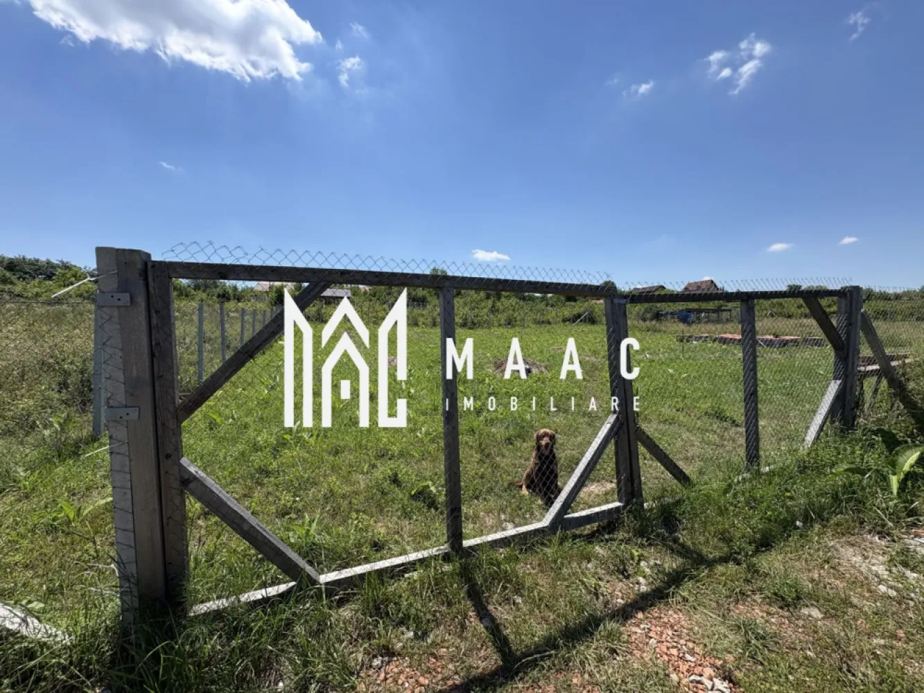 Teren intravilan 500 mp | Daia Nouă, Sibiu | acces facil, utilități în apropiere