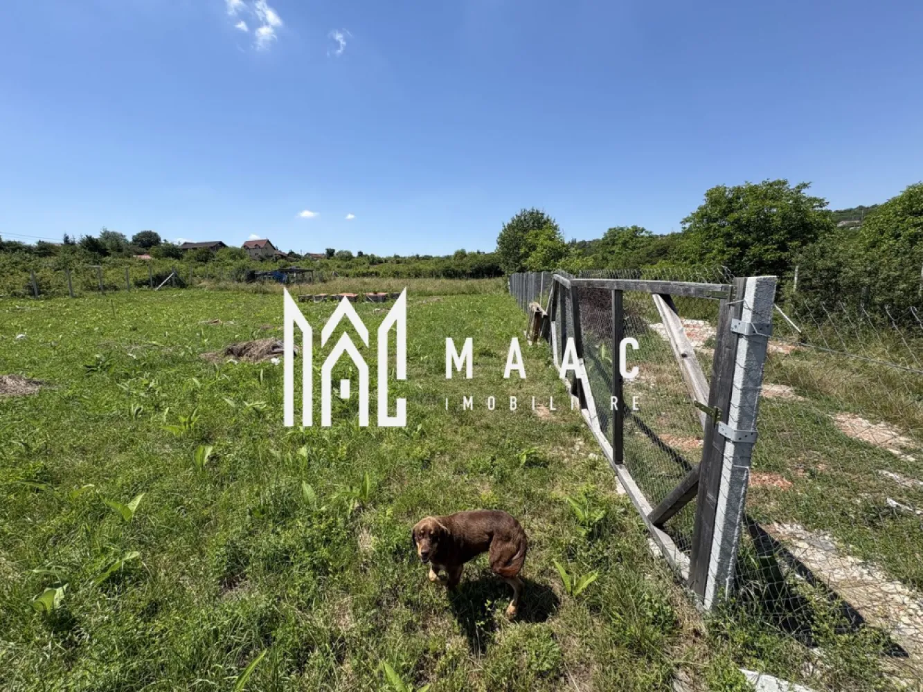 Teren intravilan 500 mp | Daia Nouă, Sibiu | acces facil, utilități în apropiere