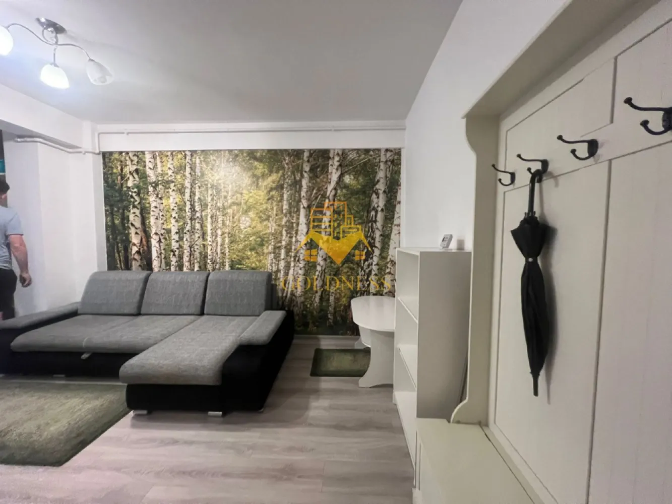 2 Camere, Modern, AC, Zona FSEGA, Iulius Mall, Intre Lacuri