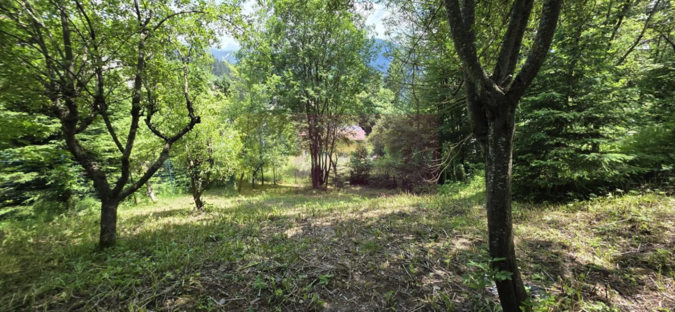 Teren exclusivist pentru dezvoltare imobiliară – Zona Furnica, Sinaia - MERVANI Imobiliare vă prezintă unul dintre ultimele terenuri disponibile pentru dezvoltare în prestigiosul cartier Furnica din Sinaia, una dintre cele mai căutate zone ale stațiunii regale.

Cu o suprafață de 780 mp și o deschidere generoasă de 30 metri, proprietatea oferă condiții excelente pentru dezvoltarea unui imobil cu apartamente de vacanță premium, beneficiind de o poziționare excepțională, la doar câteva minute de Castelul Peleș și de principalele atracții turistice ale stațiunii. Zona Furnica este recunoscută pentru proximitatea față de Castelul Peleș și pentru caracterul său exclusivist.

Terenul impresionează prin panorama spectaculoasă asupra Munților Bucegi și a orașului Sinaia, oferind viitorului proiect un avantaj competitiv important într-o piață în care apartamentele de vacanță premium sunt foarte căutate.

Toate utilitățile (apă, canalizare, gaze naturale și energie electrică) sunt disponibile la limita proprietății, facilitând demararea rapidă a investiției.

Această proprietate se adresează în special dezvoltatorilor imobiliari care urmăresc realizarea unui proiect exclusivist într-o zonă cu ofertă limitată de terenuri și cu un potențial ridicat de valorificare. În Sinaia, apartamentele noi din zonele premium ating frecvent valori de aproximativ 3.000 €/mp sau chiar mai mult, în funcție de poziționare și nivelul finisajelor, ceea ce conferă proiectelor de acest tip un potențial investițional deosebit.

Caracteristici principale:

 Suprafață teren: 780 mp
 Deschidere: 30 m
 Zonă exclusivistă – Furnica, Sinaia
 Panoramă deosebită asupra Munților Bucegi
 Utilități la limita proprietății
 Aproape de Castelul Peleș
 Ideal pentru dezvoltarea unui ansamblu de apartamente de vacanță

Preț: 400.000 Euro

Dacă sunteți în căutarea unui teren cu adevărat valoros, într-o locație unde oportunitățile sunt din ce în ce mai rare, această proprietate reprezintă o investiție cu perspective excelente pe termen lung.