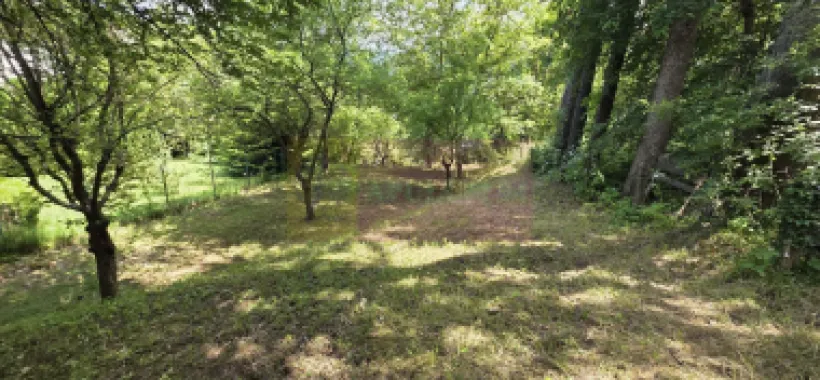 Teren exclusivist pentru dezvoltare imobiliară – Zona Furnica, Sinaia