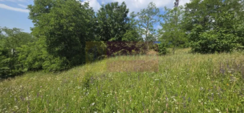 Teren intravilan 1237 mp cu view in Comarnic