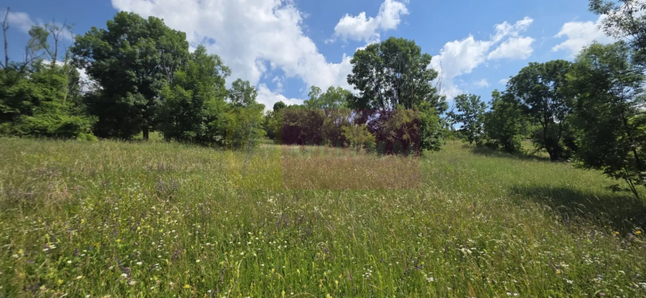 Teren intravilan 1237 mp cu view in Comarnic - Teren intravilan cu panoramă deosebită – ideal pentru casa de vacanță sau investiție

MERVANI Imobiliare vă prezintă un teren intravilan cu un amplasament excelent, destinat celor care își doresc să construiască o locuință într-un cadru natural, liniștit și cu priveliști spectaculoase.

Proprietatea are o suprafață de 1.237 mp și beneficiază de o deschidere de aproximativ 30 metri la drum asfaltat, oferind acces facil pe tot parcursul anului.

Configurația ușor înclinată a terenului reprezintă un avantaj pentru proiectarea unei locuințe care să valorifice la maximum panorama asupra împrejurimilor, fiecare nivel al viitoarei construcții putând beneficia de lumină naturală și de un view deosebit.

La limita proprietății sunt disponibile toate utilitățile necesare:

 apă;
 gaze naturale;
 energie electrică;
 internet;
 CATV.

Zona este apreciată pentru liniștea sa, aerul curat și peisajele naturale, fiind potrivită atât pentru construirea unei case de vacanță, cât și pentru o locuință permanentă sau o investiție într-o proprietate cu potențial turistic.

Caracteristici principale:

 Suprafață teren: 1.237 mp
 Deschidere: 30 m
 Drum asfaltat
 Teren în pantă, ideal pentru proiecte cu panoramă
 View spectaculos
 Toate utilitățile la limita proprietății
 Zonă liniștită, ideală pentru case de vacanță

Dacă sunteți în căutarea unui teren care îmbină accesibilitatea, utilitățile și frumusețea peisajului, această proprietate reprezintă o oportunitate excelentă pentru viitorul dumneavoastră proiect.

Pentru informații suplimentare și programarea unei vizionări:
MERVANI Imobiliare
0729 935 536

MERVANI Imobiliare – Descoperim împreună proprietatea potrivită pentru tine!