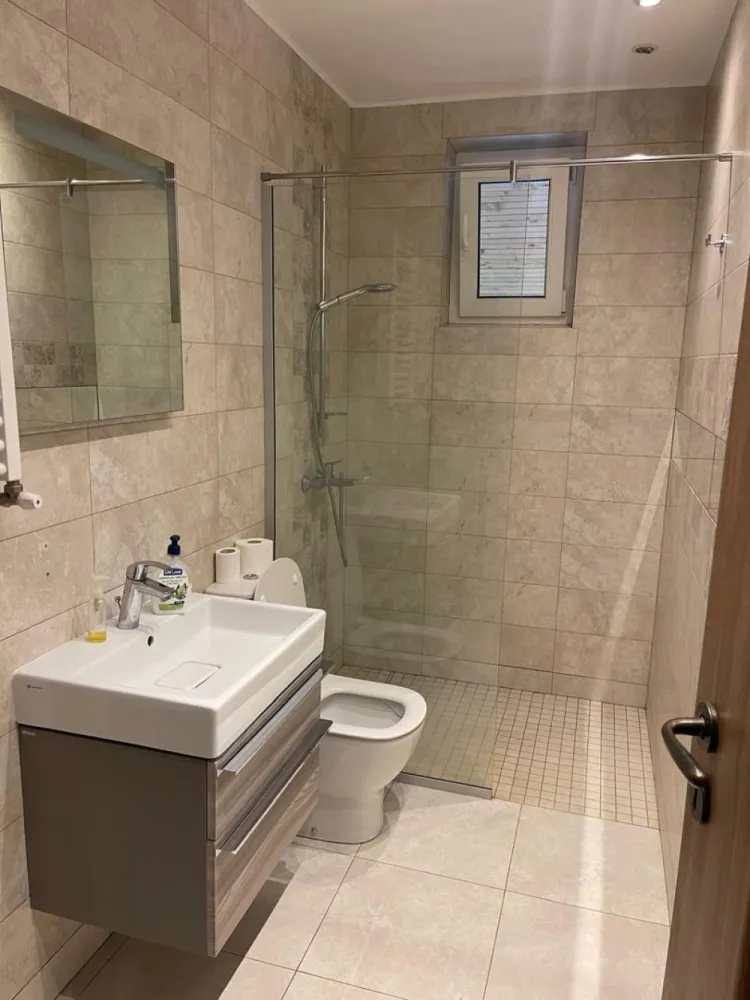 Chirie casă 3 camere ,terasa, curte acces auto – par Bratianu-1000 e/l